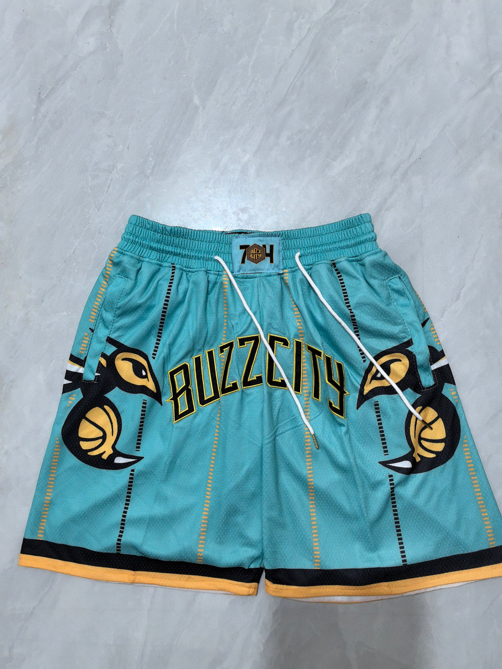 Charlotte Hornets shorts