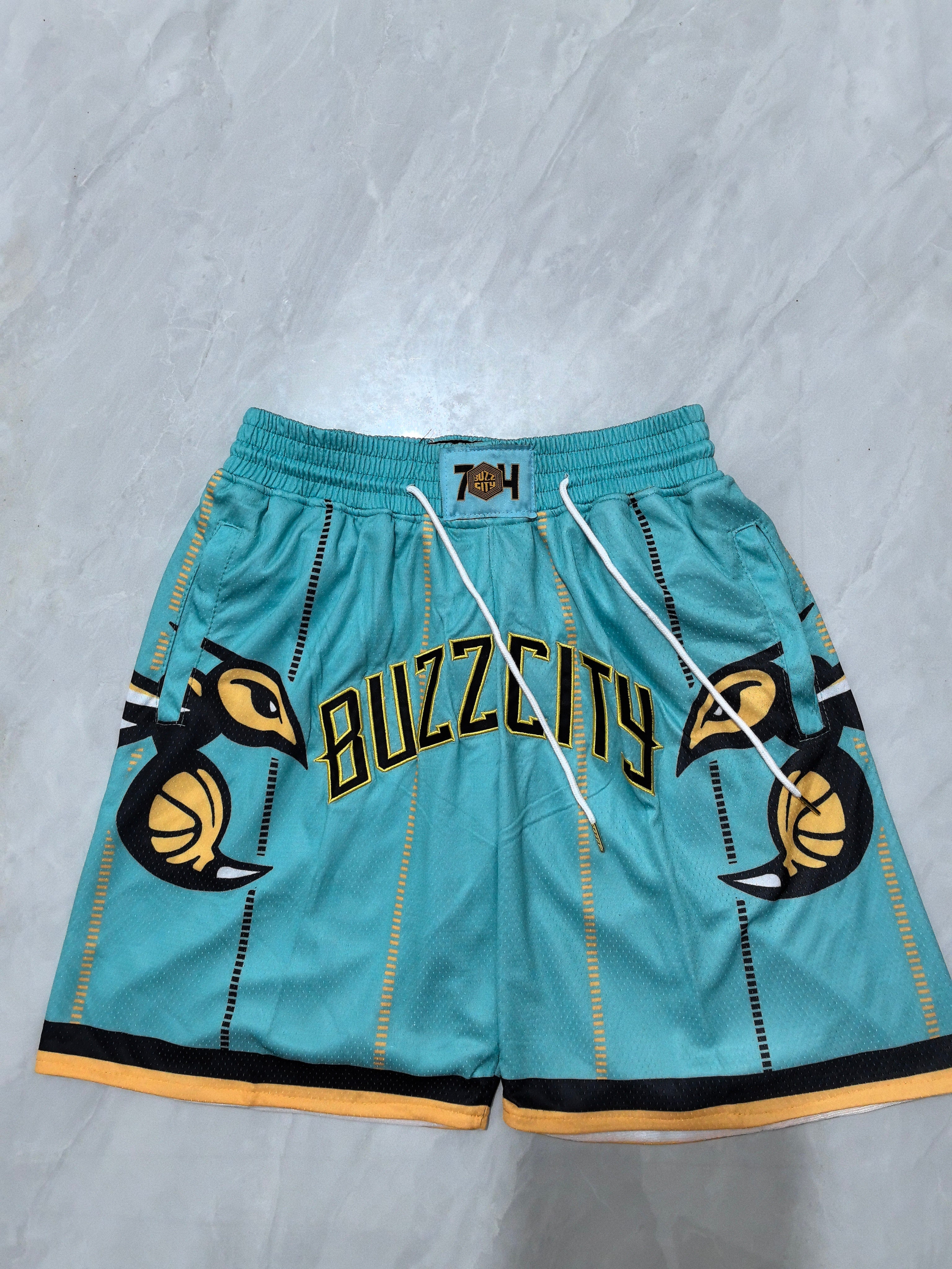 Charlotte Hornets shorts