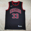 Chicago Bulls 33
