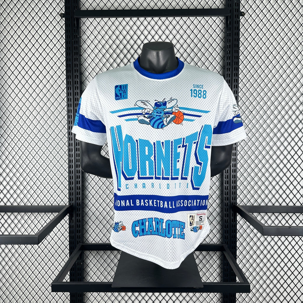 26 Charlotte Hornets-Mitchell & Ness