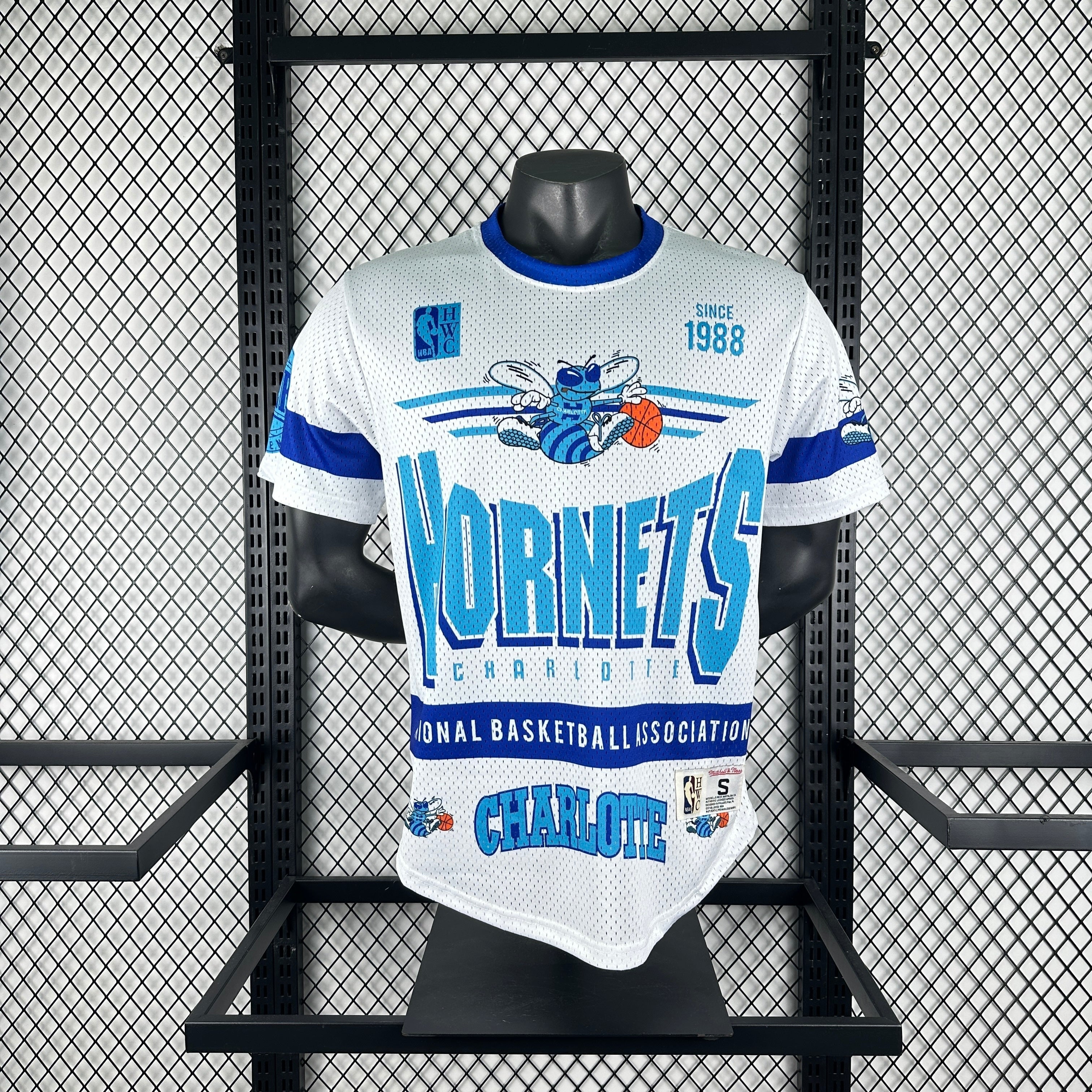 26 Charlotte Hornets-Mitchell & Ness